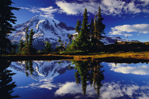 Mount Rainier National Park