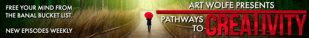 Pathways to Creativity Marketing Banner with link to page about Pathways Photography Course