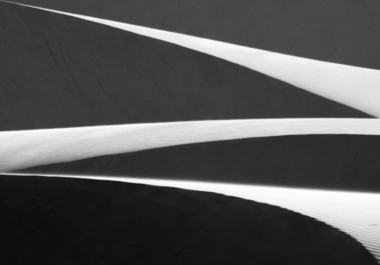 Wild Lives Photo Journey: Namibia – SOLD OUT